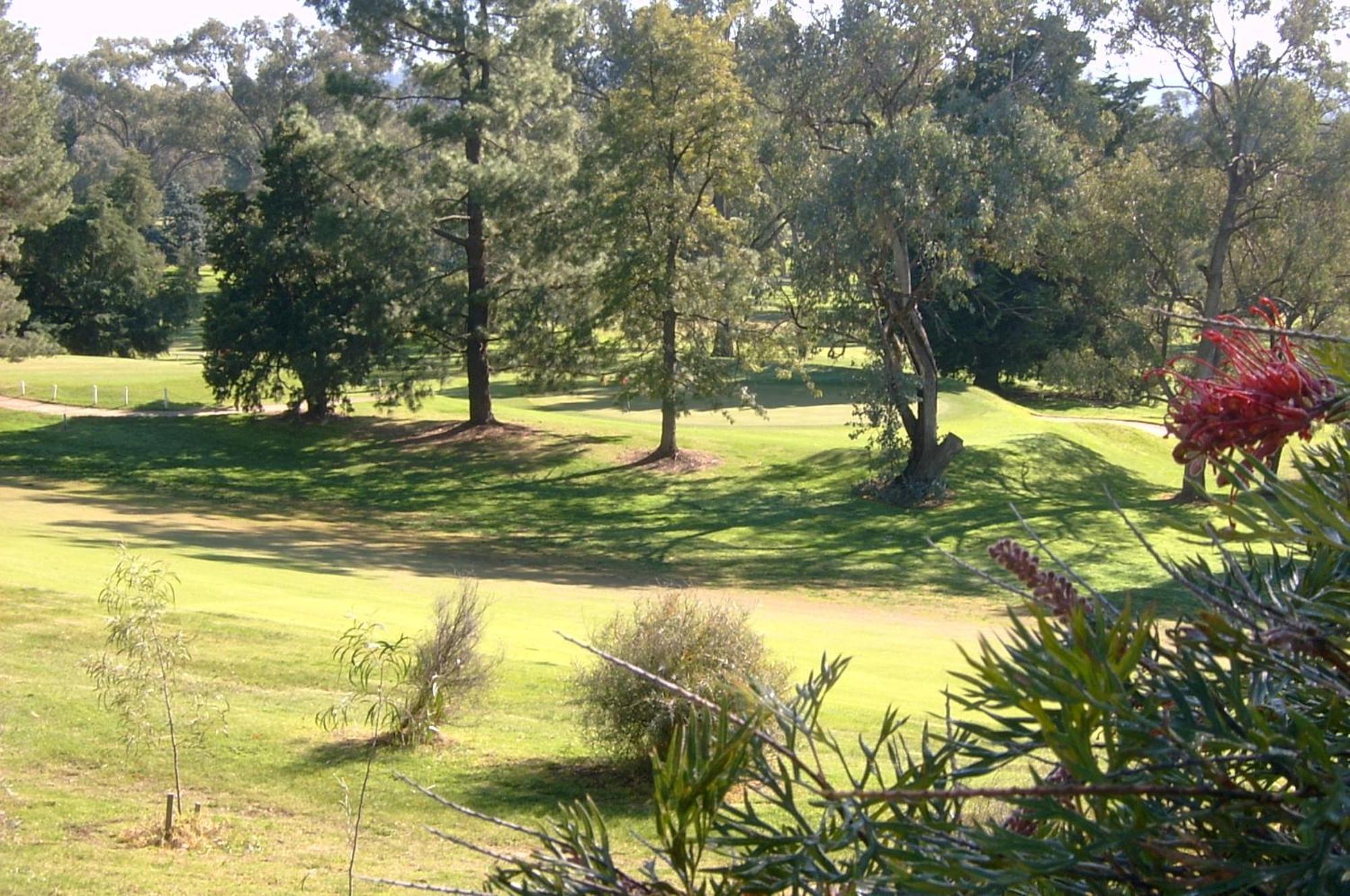 Commercial Golf Resort Albury Buitenkant foto